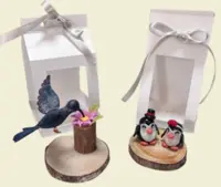 PAJARO Y PINGÜINO (UNIDAD)